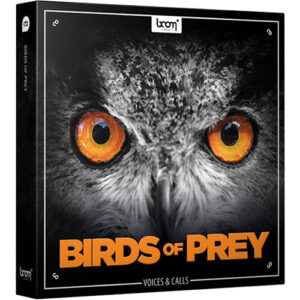 boom Library Birds Of Prey (Download)