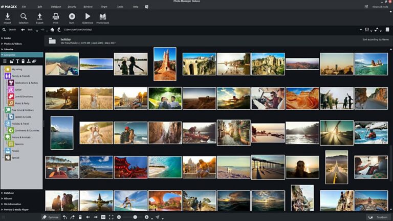 Magix Photo Manager Deluxe 17 Easily Optimize
