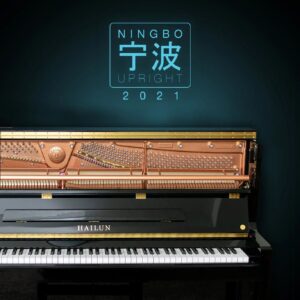 Boz Digital Ningbo Upright 2021 Pro Modern