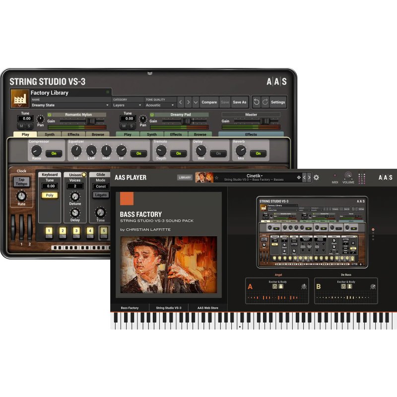 Applied Acoustics Systems Bass Factory – Sound Pack for String Studio VS-3 picture 2