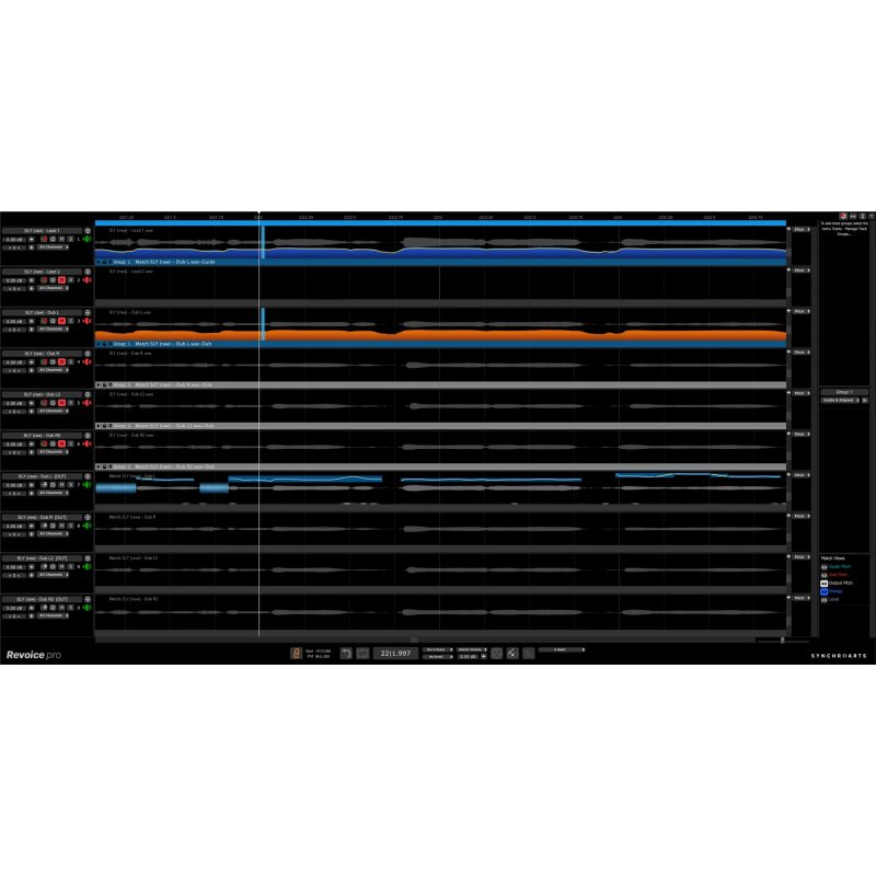 Synchro Arts Revoice Pro 5 (Download)