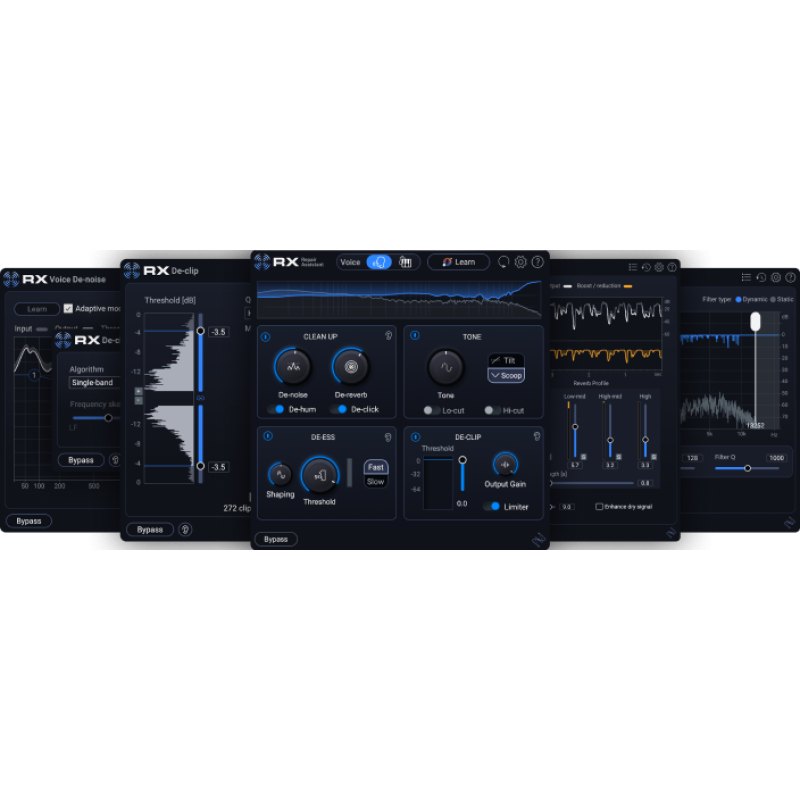 iZotope RX 12 Elements