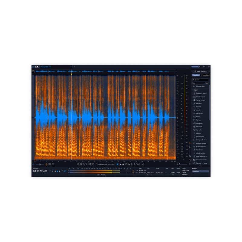iZotope RX 12 Advanced