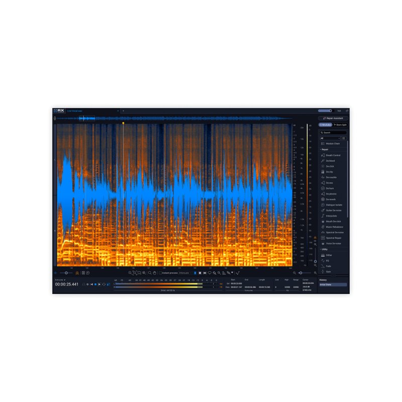 iZotope RX 12 Standard