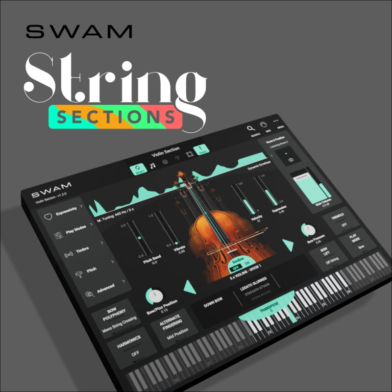 Audio Modeling PolySWAM (Download)