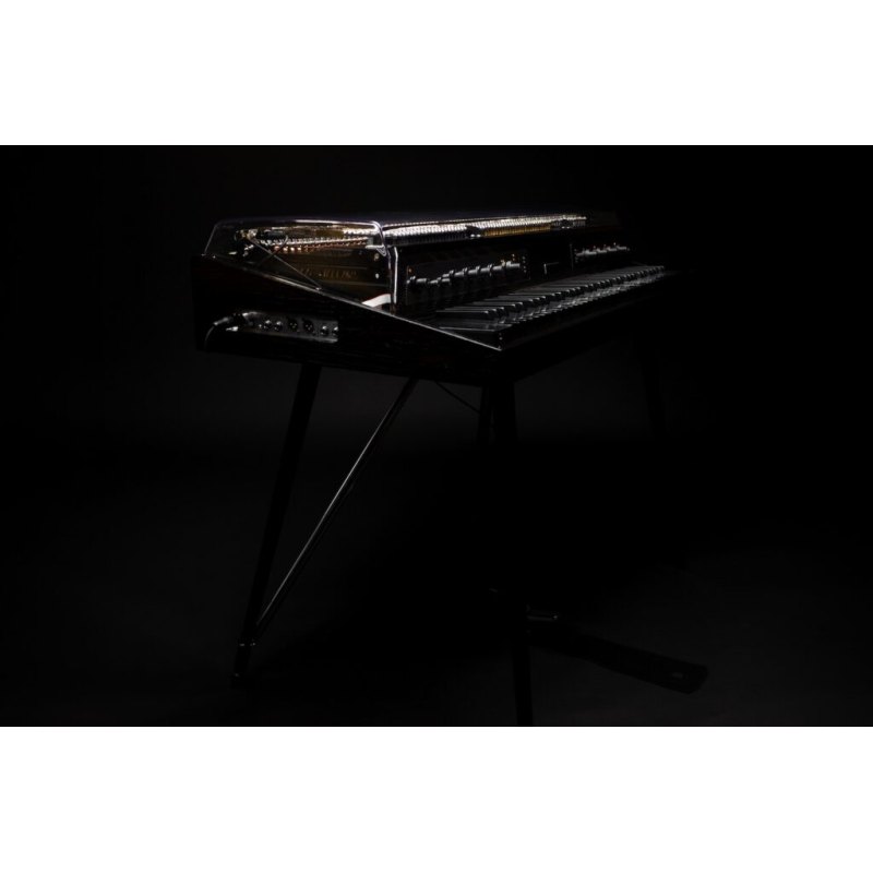 Rhodes Clav Pro picture 5
