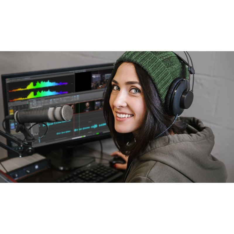 Steinberg WaveLab Cast 12 (Download)