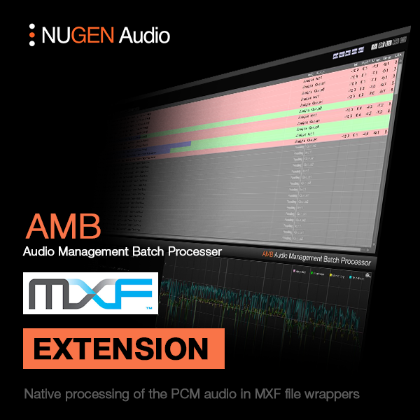 NUGEN Audio AMB MXF Module picture 5