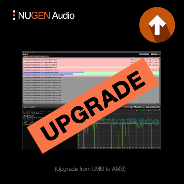 NUGEN Audio AMB (Upgrade from LMB, Download) - Image 4